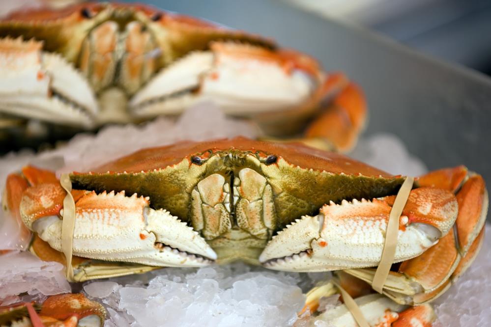 City Seafood: Service Image-0 City Seafood: Service Image-0
